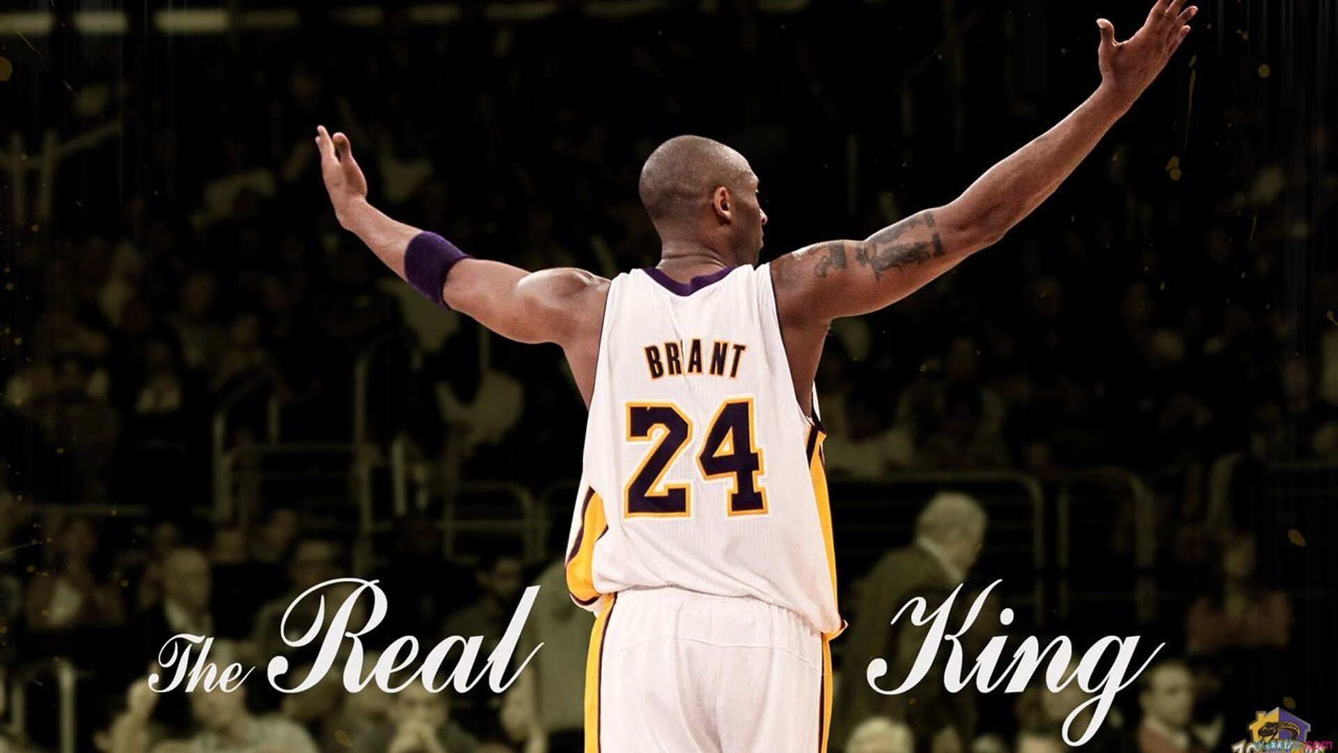 中国篮球的信仰永不褪色,中国篮球的骄傲